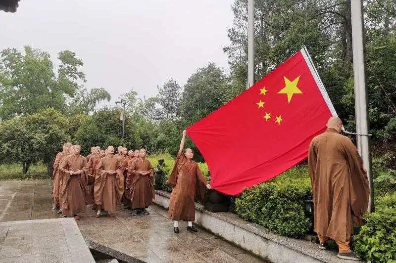 除虫大师