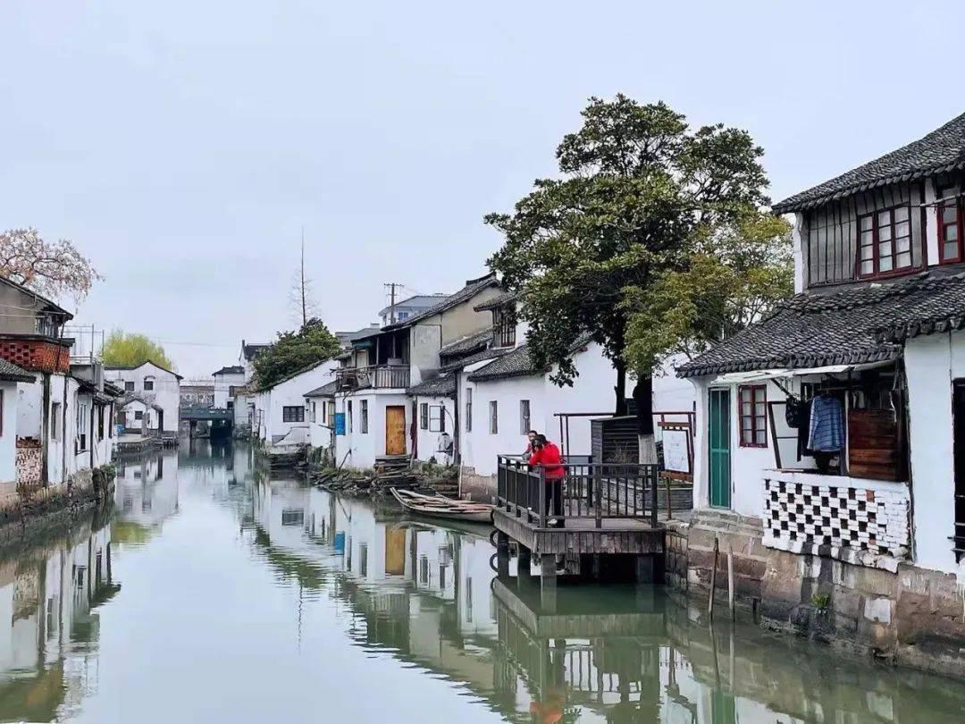 上火牙疼怎么办才能治游戏画面